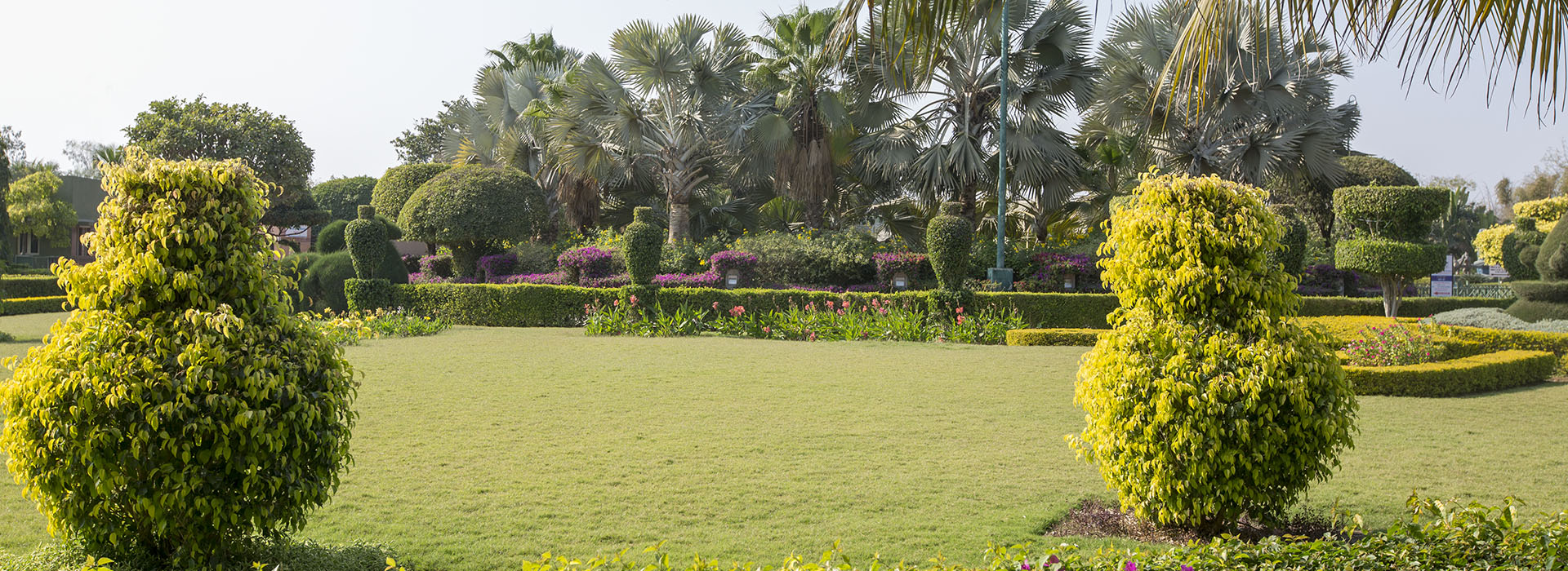 Swaminarayan Akshardham, Gujarat: Garden